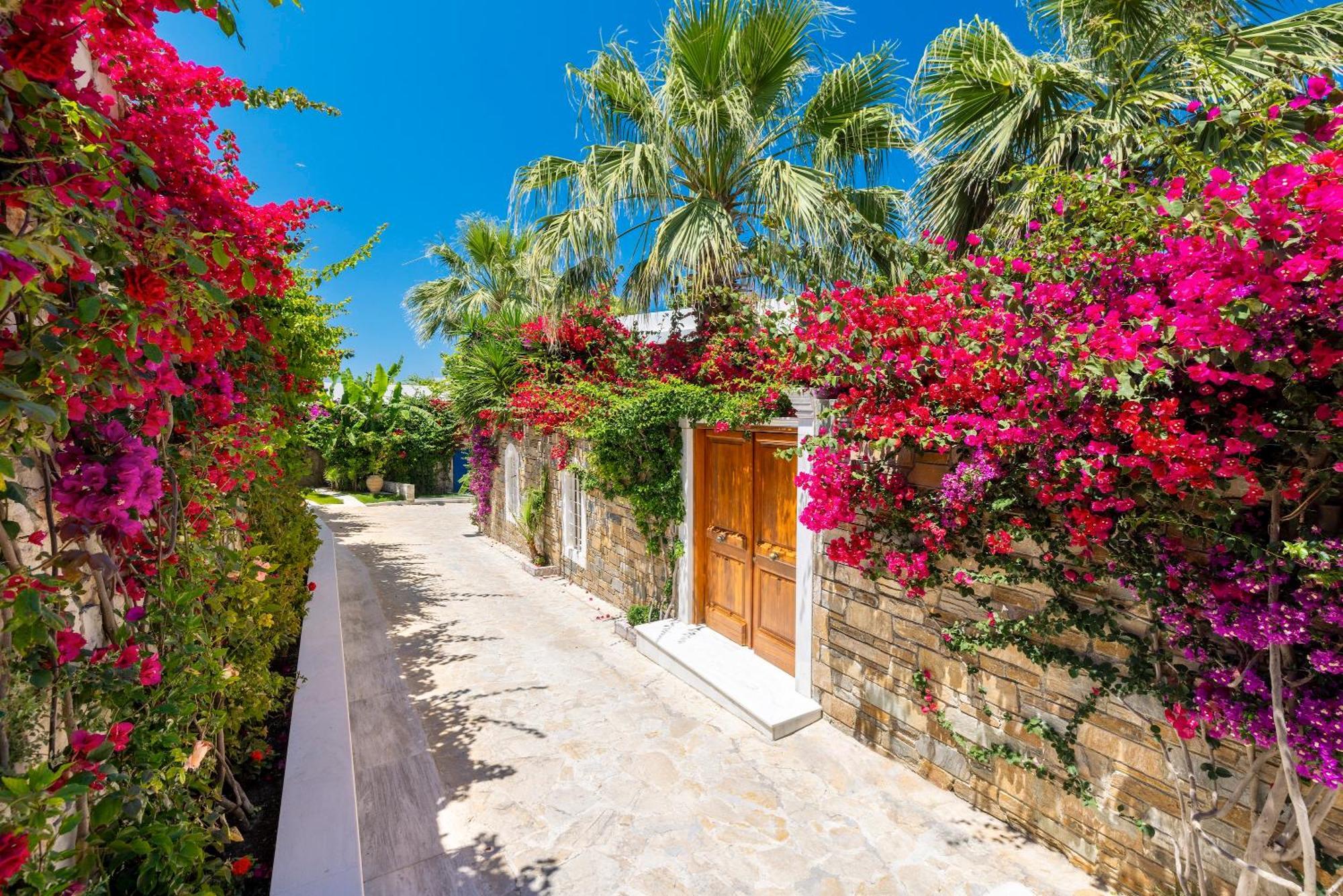 Porto Zante Villas And Spa Tragaki Bagian luar foto
